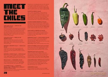 Salsa Daddy: Dip Your Way into Mexican Cooking - Rick Martínez [KSIĄŻKA]