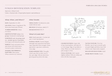 The Everyday Naturalist: How to Identify Animals, Plants, and Fungi Wherever You Go - Rebecca Lexa [KSIĄŻKA]