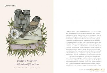 The Everyday Naturalist: How to Identify Animals, Plants, and Fungi Wherever You Go - Rebecca Lexa [KSIĄŻKA]