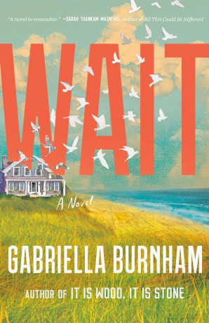 Wait: A Novel - Gabriella Burnham [KSIĄŻKA]