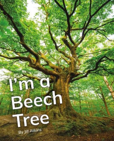 I'm a Beech Tree: Phonics Phase 5 (Reading Stars Achieve Phonics) [KSIĄŻKA]