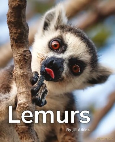 Lemurs: Phonics Phase 5 (Reading Stars Achieve Phonics) [KSIĄŻKA]