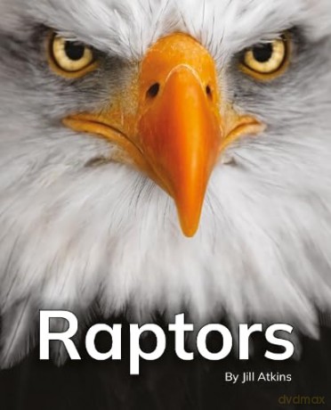 Raptors: Phonics Phase 5 (Reading Stars Achieve Phonics) [KSIĄŻKA]