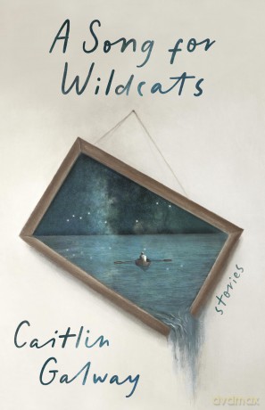 A Song for Wildcats: Stories - Caitlin Galway [KSIĄŻKA]
