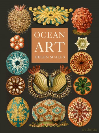 Ocean Art: From the Shore to the Deep - Helen Scales [KSIĄŻKA]