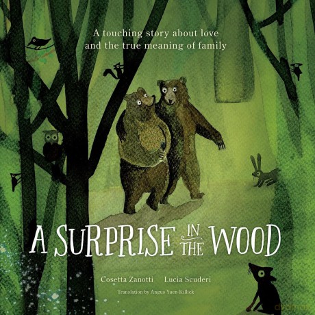 A Surprise in the Wood: A touching story of love and the true meaning of family. - Cosetta Zanotti [KSIĄŻKA]