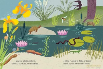 Be Thankful for Plants - Harriet Ziefert [KSIĄŻKA]
