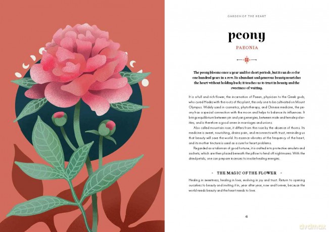 Flower Magic: The Secret Language of Flowers - Anastasia Mostacci [KSIĄŻKA]