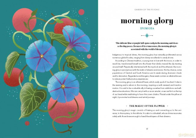 Flower Magic: The Secret Language of Flowers - Anastasia Mostacci [KSIĄŻKA]
