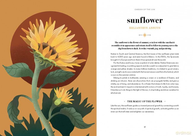 Flower Magic: The Secret Language of Flowers - Anastasia Mostacci [KSIĄŻKA]