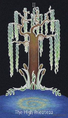 The Animystic Tarot: (Tarot Kit Box Set with 78 Cards and Guide Book) - Willow Fay [KSIĄŻKA]