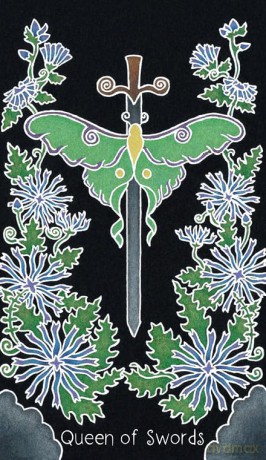 The Animystic Tarot: (Tarot Kit Box Set with 78 Cards and Guide Book) - Willow Fay [KSIĄŻKA]