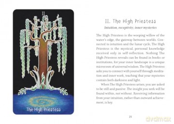 The Animystic Tarot: (Tarot Kit Box Set with 78 Cards and Guide Book) - Willow Fay [KSIĄŻKA]