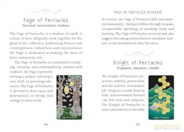 The Animystic Tarot: (Tarot Kit Box Set with 78 Cards and Guide Book) - Willow Fay [KSIĄŻKA]