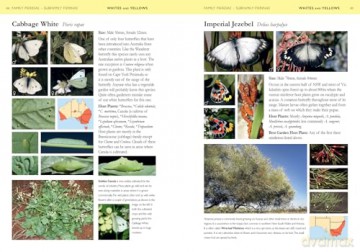 A Field Guide to Butterflies of Australia: Their Life Histories and Larval Host Plants - Garry Sankowsky [KSIĄŻKA]
