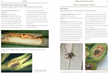 A Guide to Olive Pests and Diseases: Treating Olive Pests, Diseases and Disorders Worldwide, Growing Happy Olive Trees and Reducing Reliance on Chemical Use - Dr Vera Sergeeva [KSIĄŻKA]