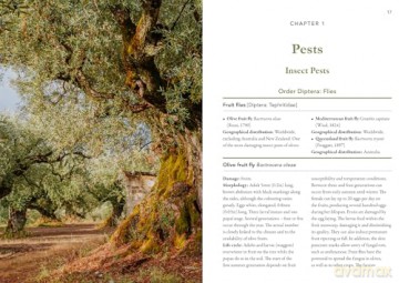 A Guide to Olive Pests and Diseases: Treating Olive Pests, Diseases and Disorders Worldwide, Growing Happy Olive Trees and Reducing Reliance on Chemical Use - Dr Vera Sergeeva [KSIĄŻKA]