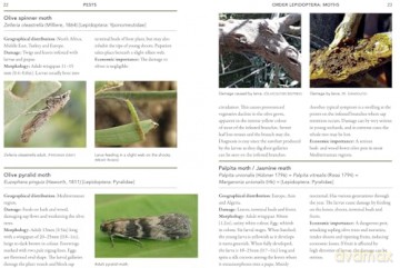A Guide to Olive Pests and Diseases: Treating Olive Pests, Diseases and Disorders Worldwide, Growing Happy Olive Trees and Reducing Reliance on Chemical Use - Dr Vera Sergeeva [KSIĄŻKA]