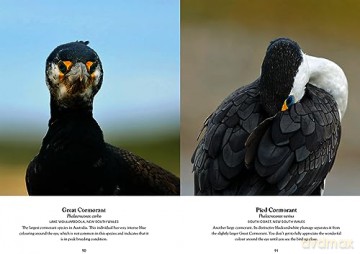 Australian Birds in Pictures: Compact edition - Matthew Jones [KSIĄŻKA]