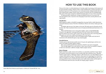 Complete Guide to Reptiles of Australia: Sixth Edition - Steve Wilson [KSIĄŻKA]