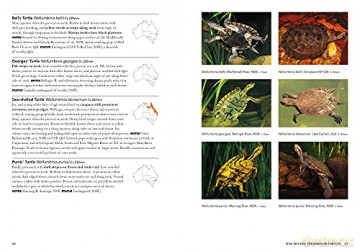 Complete Guide to Reptiles of Australia: Sixth Edition - Steve Wilson [KSIĄŻKA]