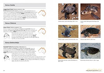Complete Guide to Reptiles of Australia: Sixth Edition - Steve Wilson [KSIĄŻKA]