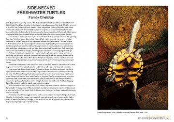 Complete Guide to Reptiles of Australia: Sixth Edition - Steve Wilson [KSIĄŻKA]