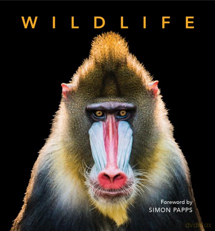 Deluxe Wildlife - Foreword by Simon Papps [KSIĄŻKA]