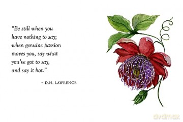 Luxe Nature - Wildflowers: Luxe Nature [KSIĄŻKA]