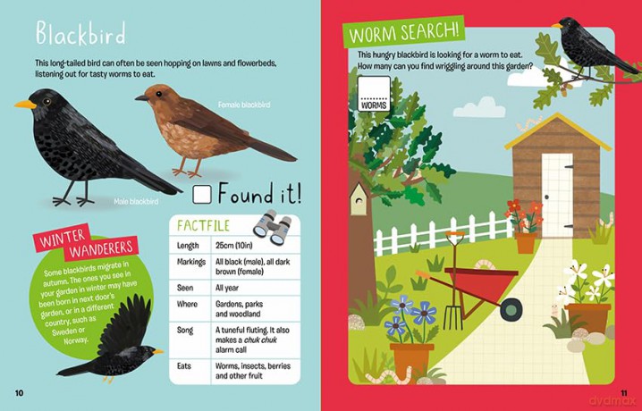 Find it! British Birds - Marianne Taylor [KSIĄŻKA]