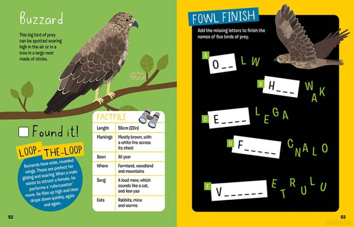 Find it! British Birds - Marianne Taylor [KSIĄŻKA]