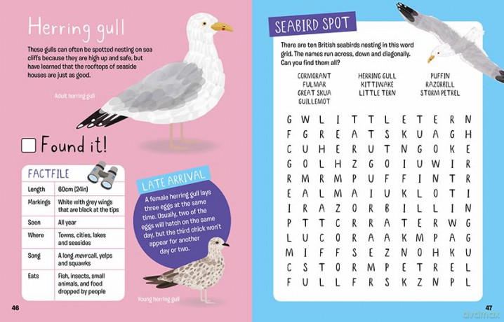 Find it! British Birds - Marianne Taylor [KSIĄŻKA]