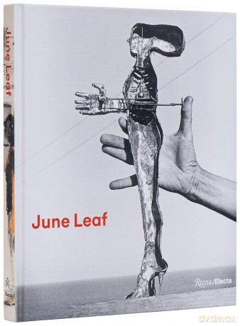 June Leaf: Shooting from the Heart - Sam Adams [KSIĄŻKA]