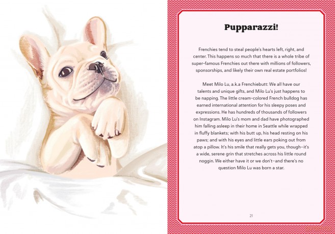 A Frenchie Life: What to Know and Love about the French Bulldog (Favorite Dog) - Sara Weiss [KSIĄŻKA]