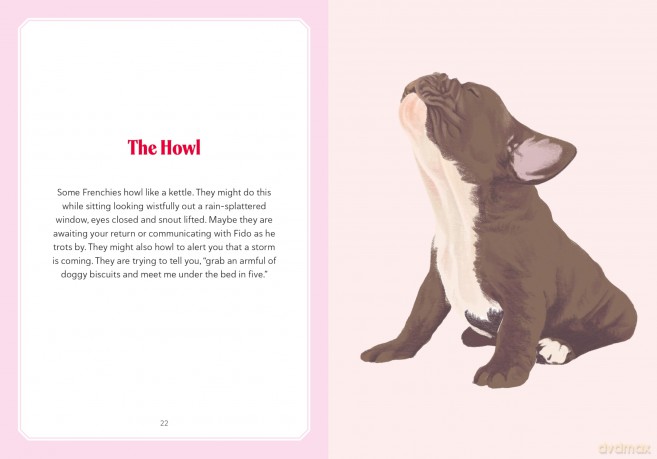 A Frenchie Life: What to Know and Love about the French Bulldog (Favorite Dog) - Sara Weiss [KSIĄŻKA]