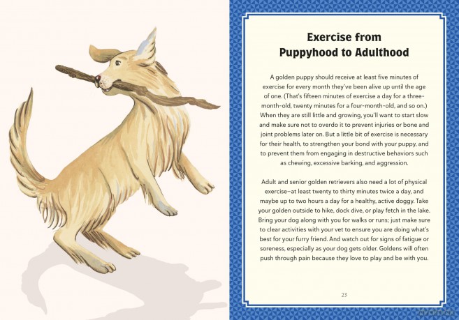 A Golden Life: What to Know and Love about the Golden Retriever (Favorite Dog) - Sara Weiss [KSIĄŻKA]