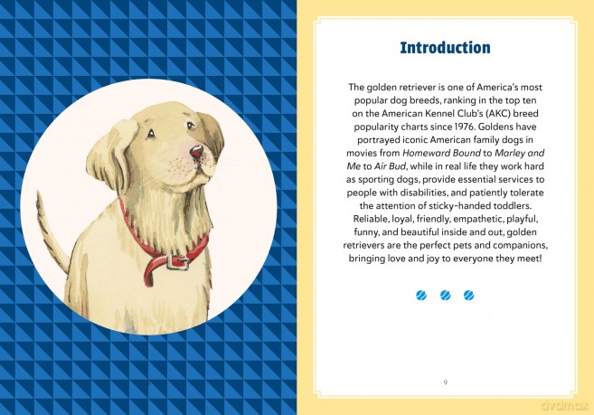 A Golden Life: What to Know and Love about the Golden Retriever (Favorite Dog) - Sara Weiss [KSIĄŻKA]