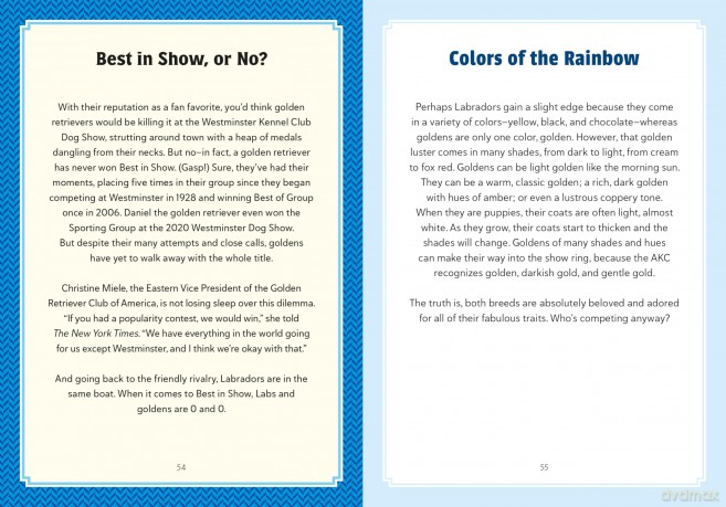A Golden Life: What to Know and Love about the Golden Retriever (Favorite Dog) - Sara Weiss [KSIĄŻKA]