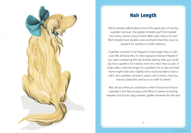 A Golden Life: What to Know and Love about the Golden Retriever (Favorite Dog) - Sara Weiss [KSIĄŻKA]
