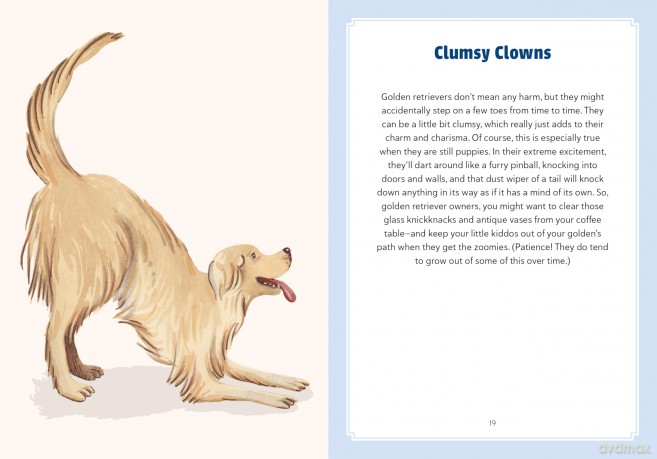 A Golden Life: What to Know and Love about the Golden Retriever (Favorite Dog) - Sara Weiss [KSIĄŻKA]
