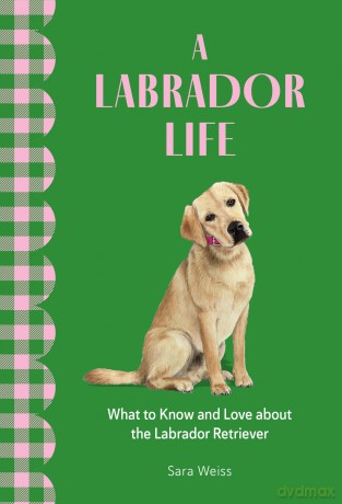 A Labrador Life: What to Know and Love About the Labrador Retriever (Favorite Dog) - Sara Weiss [KSIĄŻKA]