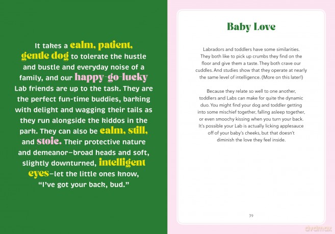 A Labrador Life: What to Know and Love About the Labrador Retriever (Favorite Dog) - Sara Weiss [KSIĄŻKA]