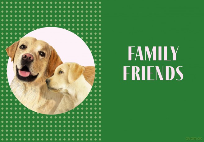 A Labrador Life: What to Know and Love About the Labrador Retriever (Favorite Dog) - Sara Weiss [KSIĄŻKA]