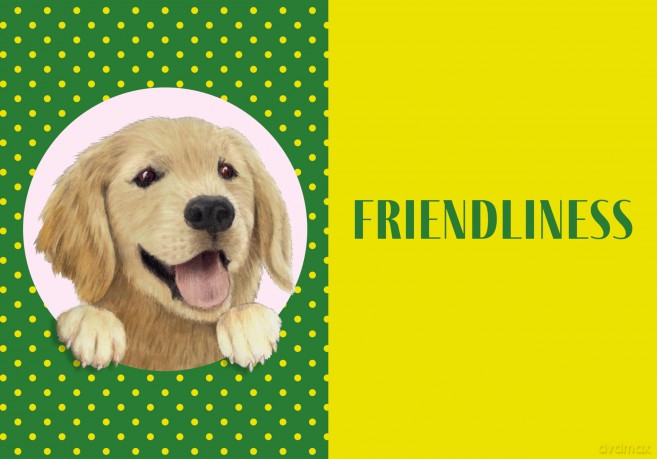 A Labrador Life: What to Know and Love About the Labrador Retriever (Favorite Dog) - Sara Weiss [KSIĄŻKA]