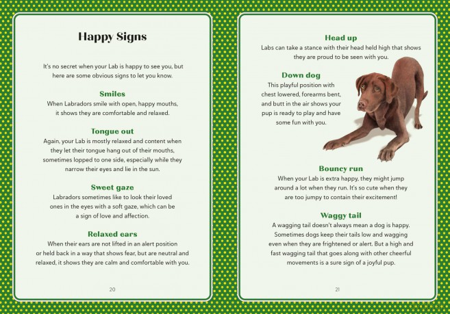 A Labrador Life: What to Know and Love About the Labrador Retriever (Favorite Dog) - Sara Weiss [KSIĄŻKA]