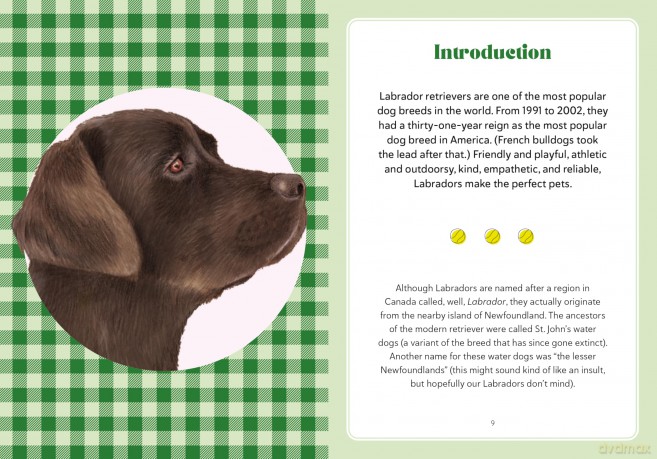 A Labrador Life: What to Know and Love About the Labrador Retriever (Favorite Dog) - Sara Weiss [KSIĄŻKA]