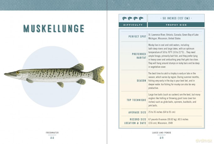Hooked: Legendary Fresh and Saltwater Fish to Catch in a Lifetime - Jerry Audet [KSIĄŻKA]