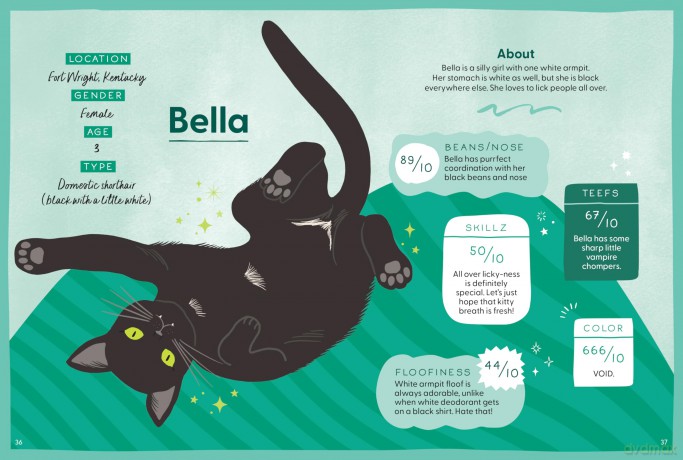 How to Rate a Cat: Rate Any Feline Friend from Their Boopable Nose to Their Sweet Toe Beans - Matthew McGlasson [KSIĄŻKA]