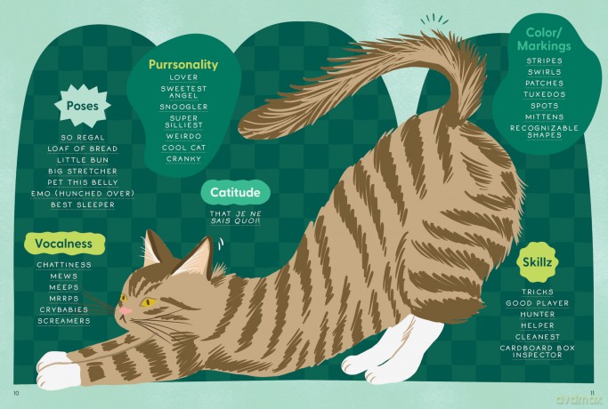 How to Rate a Cat: Rate Any Feline Friend from Their Boopable Nose to Their Sweet Toe Beans - Matthew McGlasson [KSIĄŻKA]