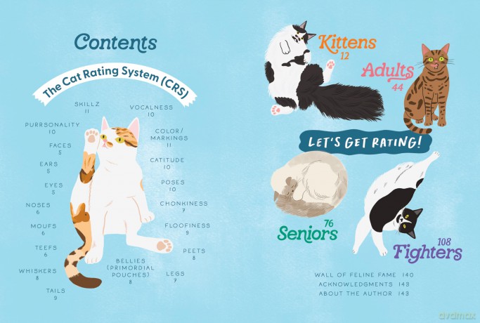 How to Rate a Cat: Rate Any Feline Friend from Their Boopable Nose to Their Sweet Toe Beans - Matthew McGlasson [KSIĄŻKA]